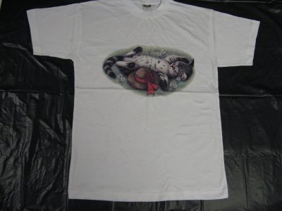 AMERICAN T-SHIRT PRINTED WITH USA MOTIVE " CAT SLEEPING NEAR HAT " LOWEST PRICE GARANTI. Art.No. 120916-2125