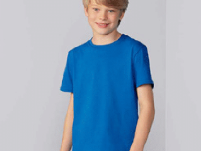 AMERICAN PLAIN HEAVY COTTON "GILDAN" T-SHIRT- MEMORABLE GIFT- TOP QUALITY-LOWEST PRICE GUARANTEED-AVAILABLE IN MANY COLORS-DO NOT MISS THIS CHANCE-ART.NO.GL64000B-REA 27%